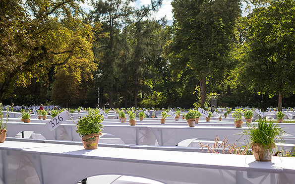 Foto: Elias A. Gens, Lizenz: BeSt Bernauer Stadtmarketing GmbH