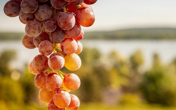 Foto: Stadt Werder (Havel), Lizenz: Stadt Werder (Havel)