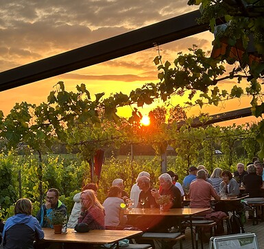 Sommernacht der Weine