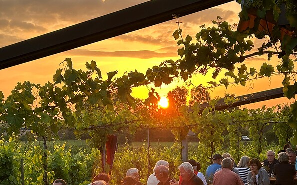 Foto: Weinbau Dr. Lindicke, Lizenz: Weinbau Dr. Lindicke