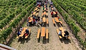 Weinprobe am Turm, Foto: Weinbau Dr. Lindicke, Lizenz: Weinbau Dr. Lindicke