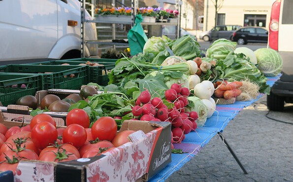 Foto: Jan Hornhauer, Lizenz: Stadt Calau