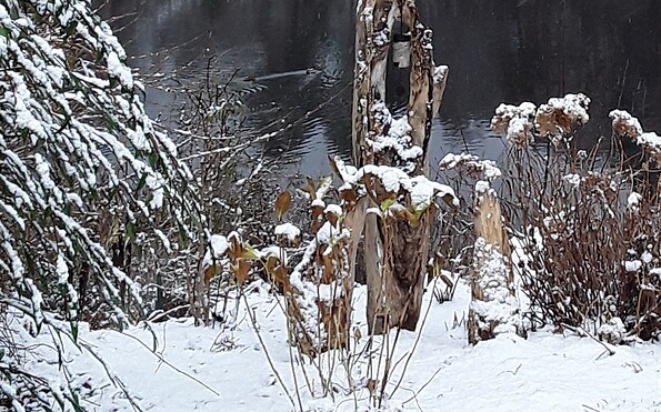 Foto: Ute Bernhardt, Lizenz: Ute Bernhardt