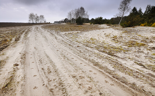 Foto: Sebastian Hennigs, Lizenz: NaturSchutzFonds Brandenburg