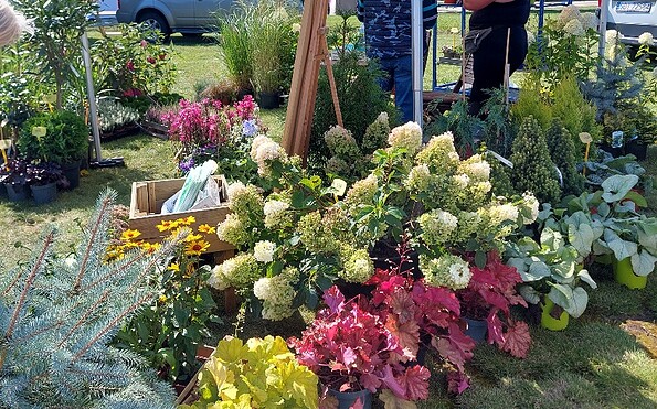 Foto: Findlingspark Nochten, Lizenz: Findlingspark Nochten