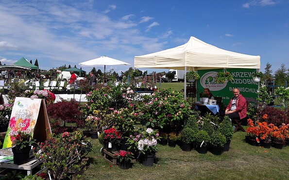 Foto: Findlingspark Nochten, Lizenz: Findlingspark Nochten