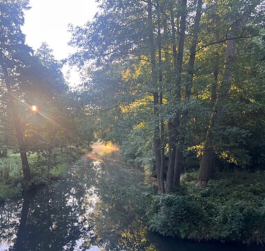 Ökofilmtour: Wildnis statt Spreewald?