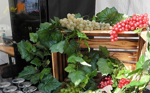 Foto: Detlev Huber (Töplitz-Portal), Lizenz: Detlev Huber (Töplitz-Portal)