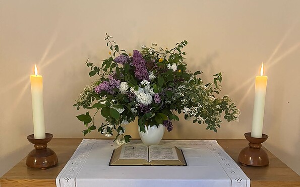 Foto: Silke Ebner, Lizenz: Silke Ebner