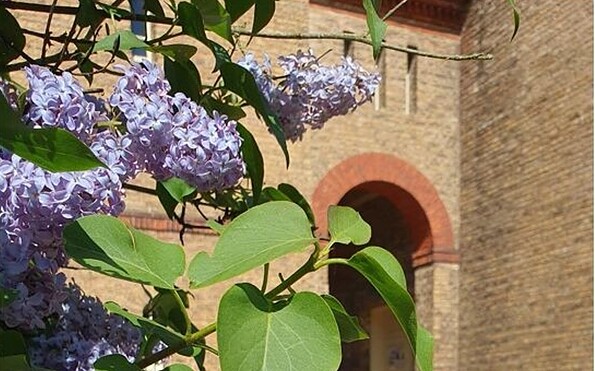 Foto: Stadt Werder (Havel), Lizenz: Stadt Werder (Havel)