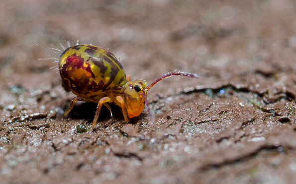 Foto: Lothar Lenz / stock.adobe.com