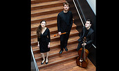 Lunchkonzert: Trio Tenorizans