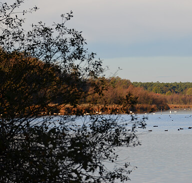 Frühlingserwachen: Wanderung um den Riebener See