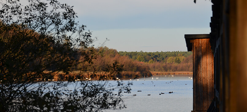 Frühlingserwachen: Wanderung um den Riebener See