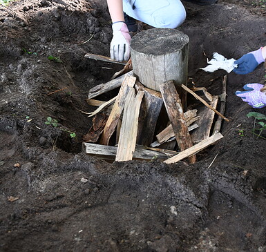 Hilfe für Insekten: Wir bauen einen Käferkeller