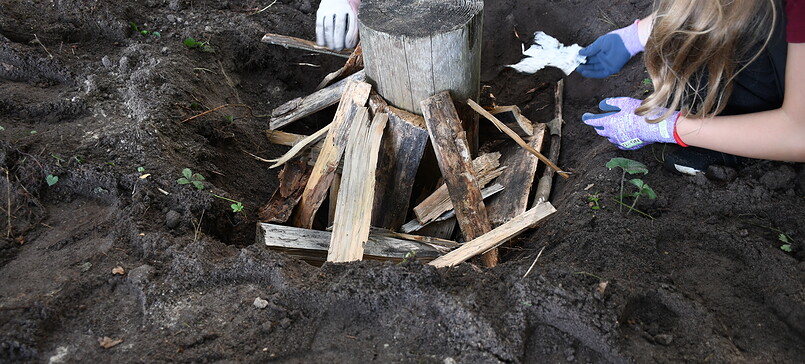 Hilfe für Insekten: Wir bauen einen Käferkeller