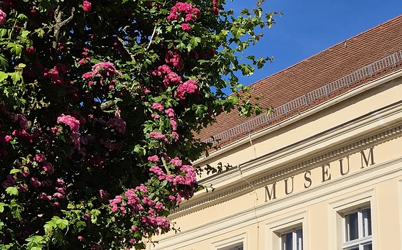 Foto: Museum Neuruppin, Lizenz: Museum Neuruppin
