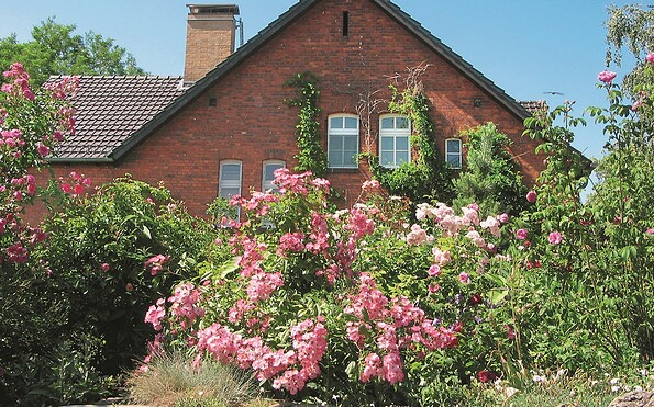 Foto: Jörg Schuster, Lizenz: Jörg Schuster