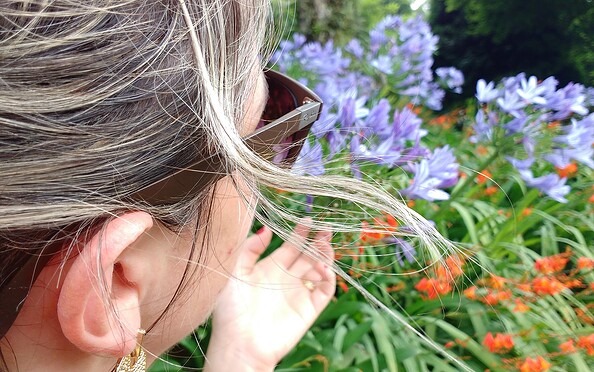 Foto: Pixabay, Lizenz: Pixabay