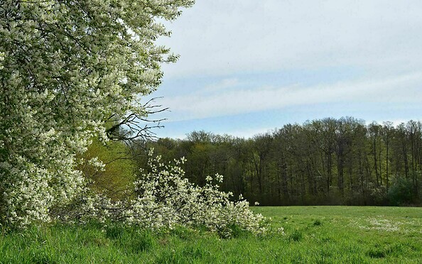 Tiergarten, Foto: Petra Förster, Lizenz: Tourismusverband Dahme-Seenland e.V.
