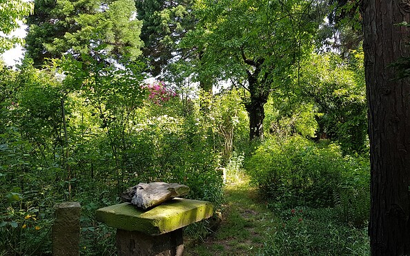 Foto: TVEEL, Lizenz: TVEEL