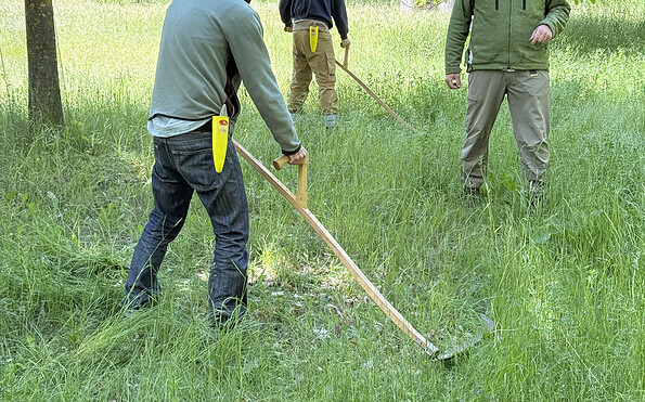 Foto: Kloster Chorin