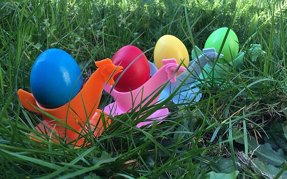 Foto: SG, Lizenz: TVF