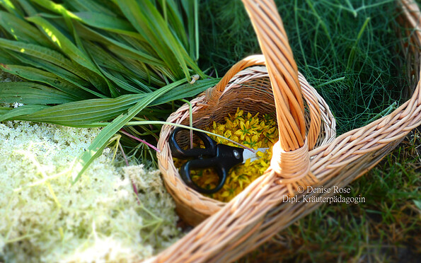 Foto: Denise Rose, Lizenz: Denise Rose