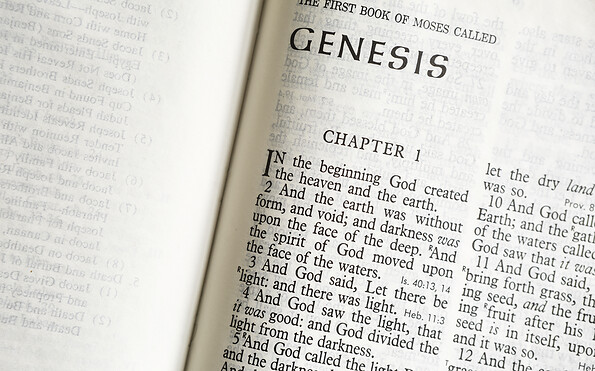 Foto: Lindasphotograph, Lizenz: iStock