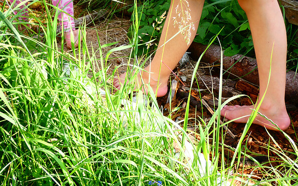 Foto: Denise Rose , Lizenz: Denise Rose