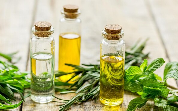 Foto: ATZ Welzow, Lizenz: ATZ Welzow