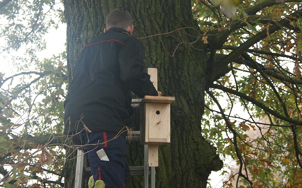 Foto: ATZ Welzow, Lizenz: ATZ Welzow