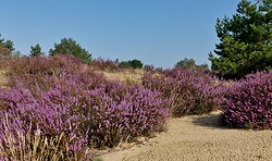 Wildnis-Tour: Wild, wilder, Wildnis