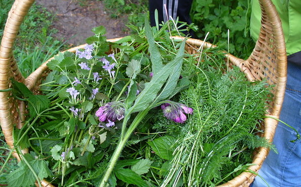 Foto: Heike Brack, Lizenz: Heike Brack