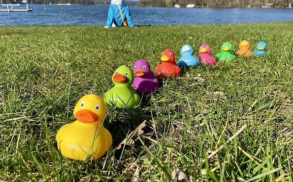 Foto: Nadine Weber, Lizenz: Tourismusverein Scharmützelsee