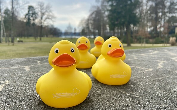 Oster-Ente vom Scharmützelsee, Foto: Tourismusverein Scharmützelsee, Lizenz: Tourismusverein Scharmützelsee