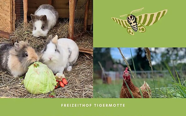 Foto: Freizeithof Tigermotte, Lizenz: Freizeithof Tigermotte
