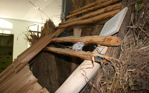 Foto: atz Welzow, Lizenz: atz Welzow