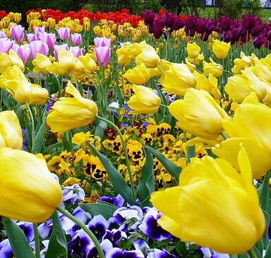 Märchenhütte Senzig