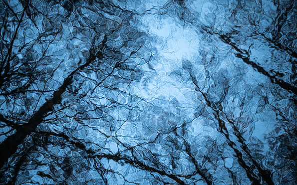 Foto: Jan Wuttke, Lizenz: Jan Wuttke