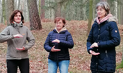 Waldbaden – Deine Auszeit in der Natur