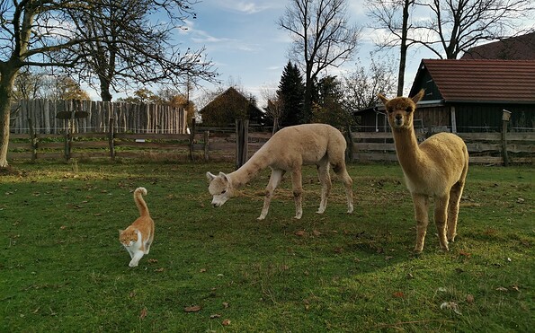 Foto: Sven Scherry, Lizenz: Amt Burg (Spreewald)