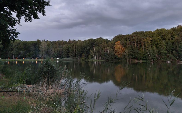 Foto: Gabriele Werner