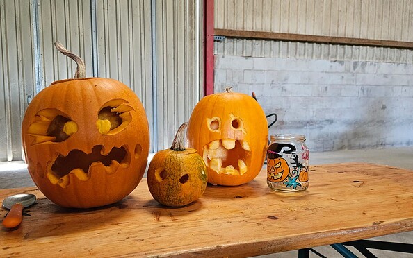 Foto: Bauernhof Knie, Lizenz: Bauernhof Knie