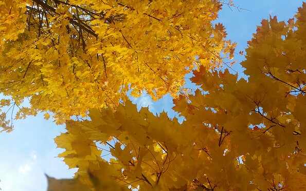 Foto: Katharina Laugks, Lizenz: Marketing und Tourismus Guben e.V.