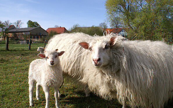 Foto: CorporateArt Natur, Lizenz: TVP
