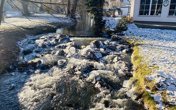 Park am Weidendamm an der Schwärze, Foto: Matthias Schäfer