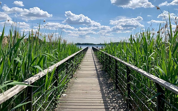Foto: Nadine Weber, Lizenz: Tourismusverein Scharmützelsee