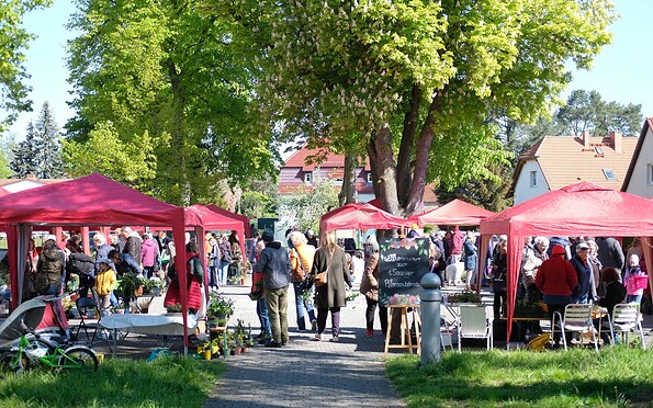 Foto: Ricardo Simon, Lizenz: Ricardo Simon