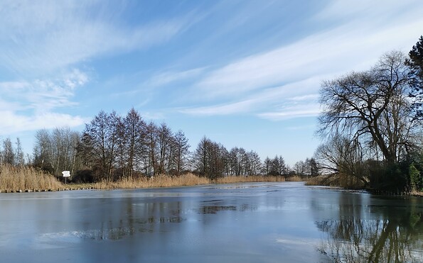 Foto: Mirko Laufmann